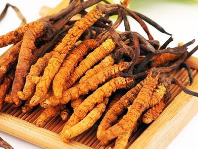 横栏礼盒装冬虫夏草回收/一袋虫草回收价格多少钱