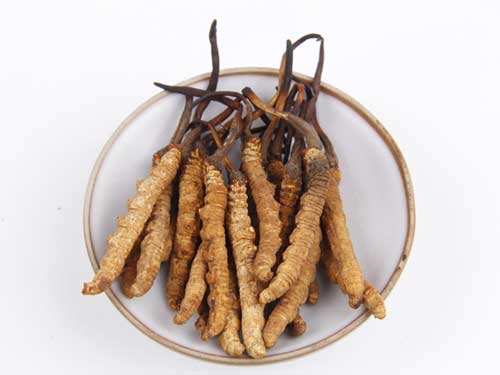 南城回收虫草多少钱一斤虫草回收价格