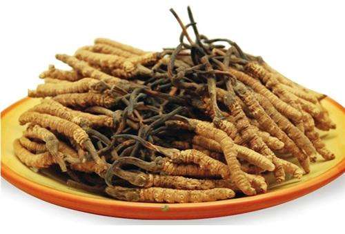 东城回收虫草礼盒装报价