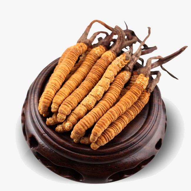 禅城养殖虫草回收系列价格一览表