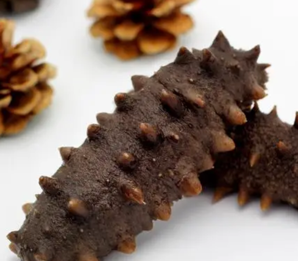 海参回收多少钱一斤