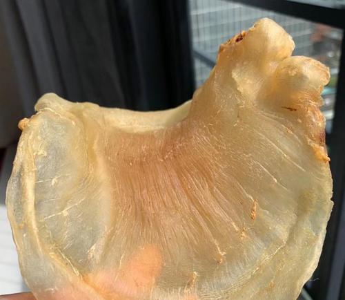 盐田鱼胶回收商家地址