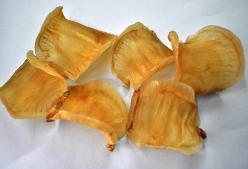 盐田鱼胶回收方式