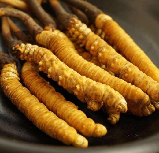 宝安虫草回收商家上门吗