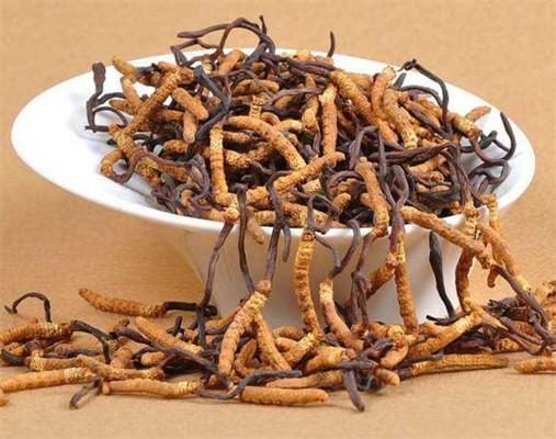 宝安过期虫草回收价格