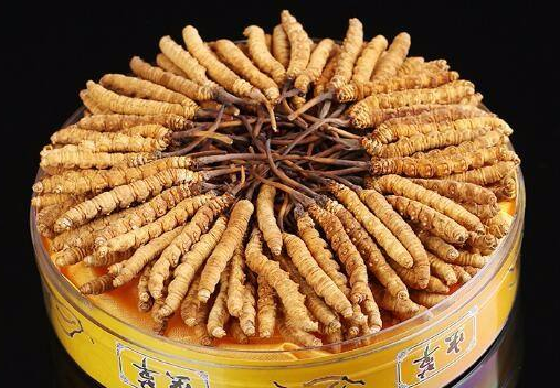 深圳虫草回收实体店商家联系方式