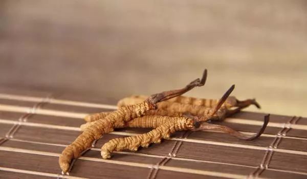 惠州虫草回收价格多少钱