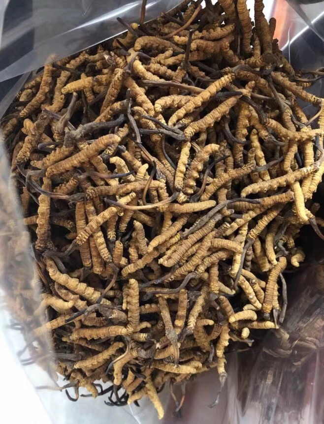 大岭山礼品回收价格