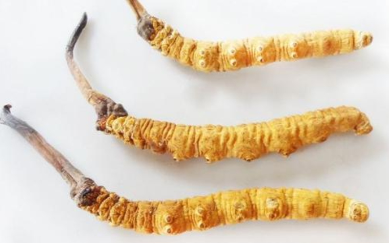 那曲虫草回收价格在惠州怎么样