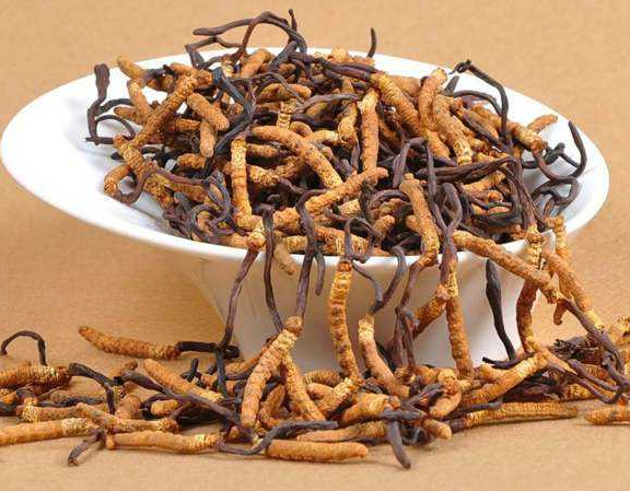 大鹏虫草回收网