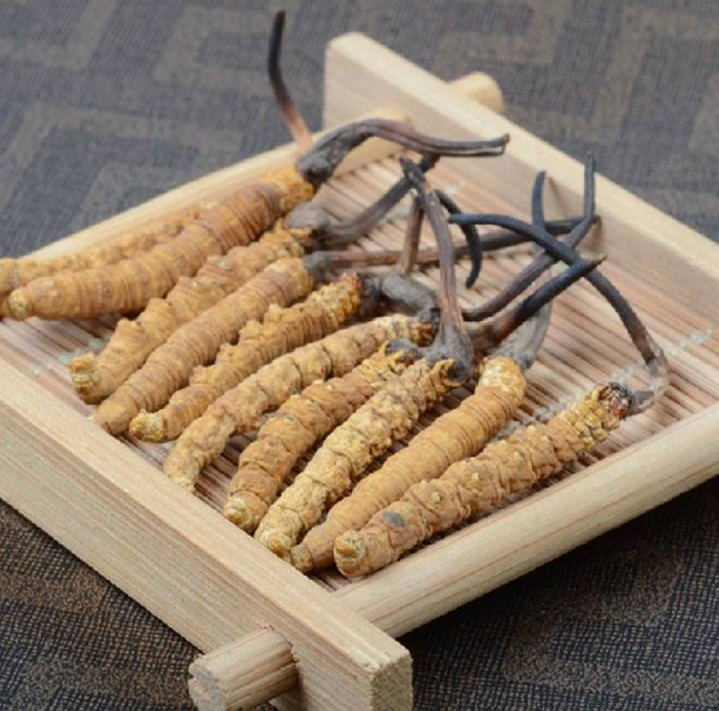 惠州上门虫草回收多少钱