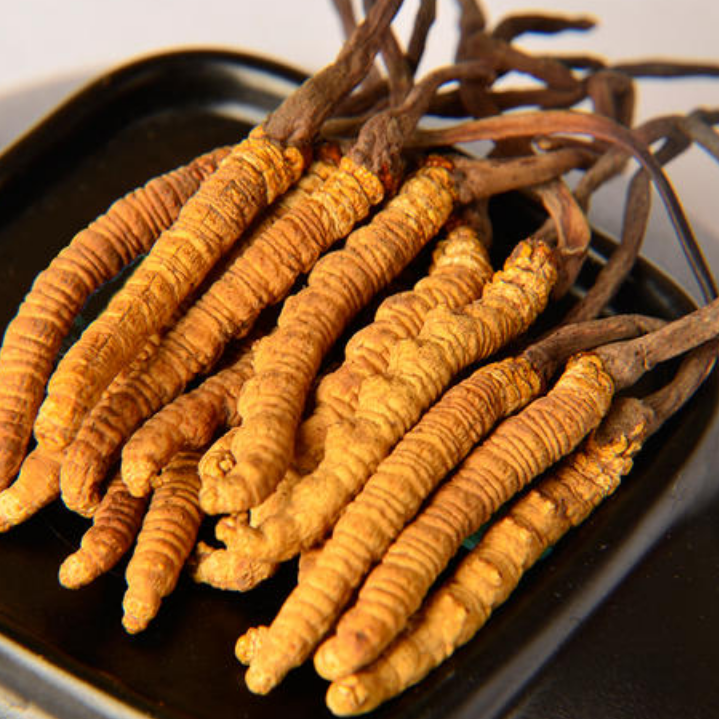 石碣虫草回收多少钱