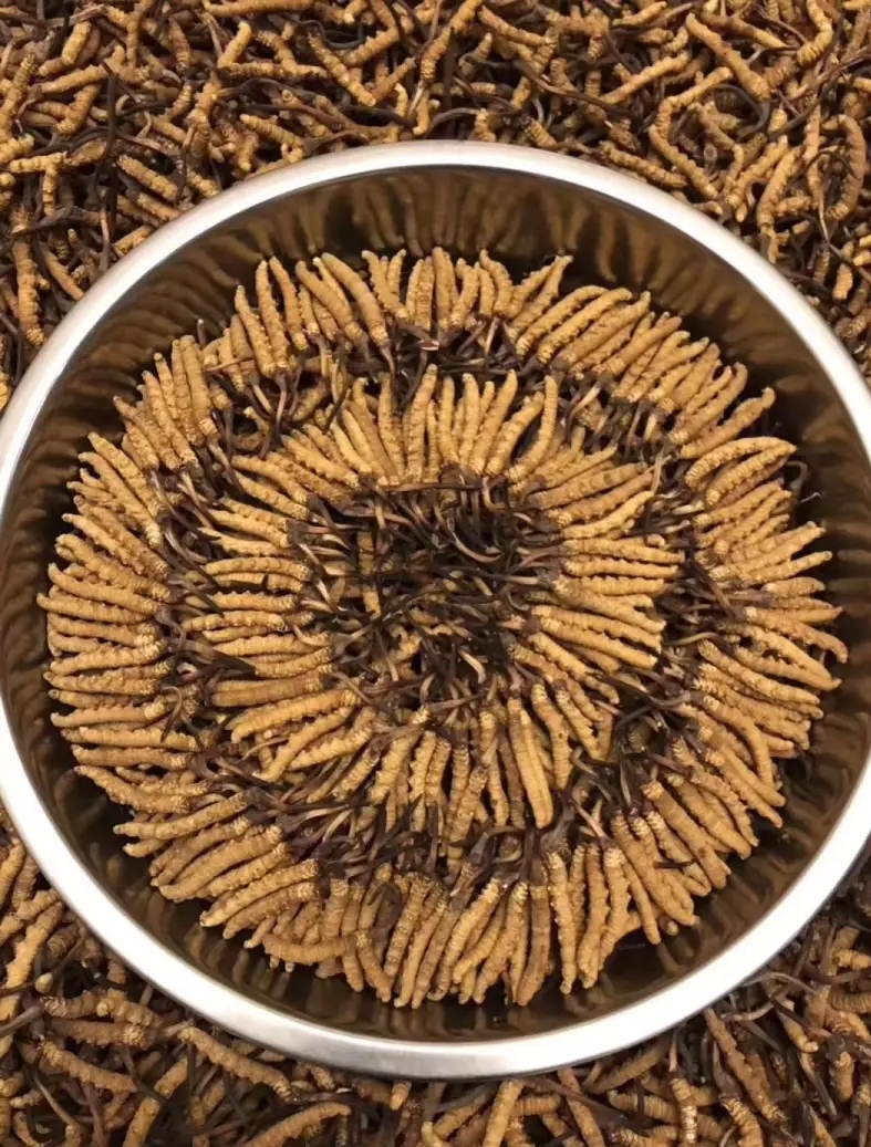 凤岗礼品回收商家电话