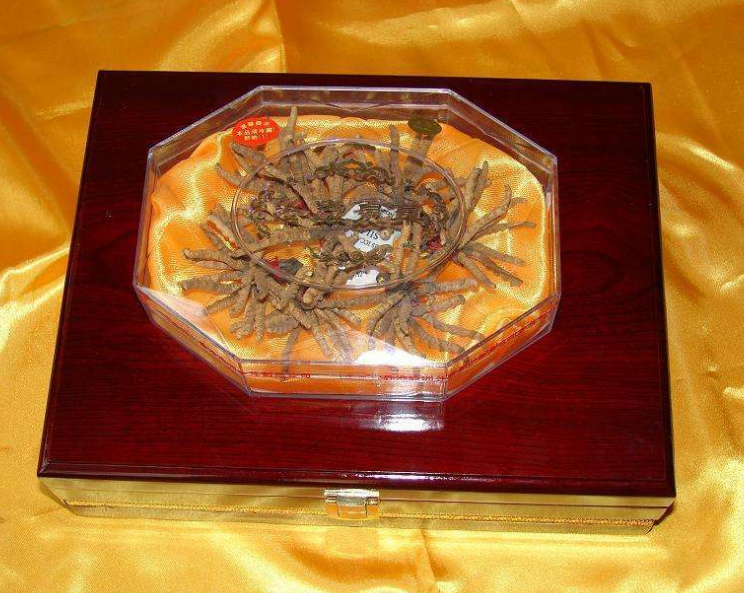 珠江新城虫草回收价格