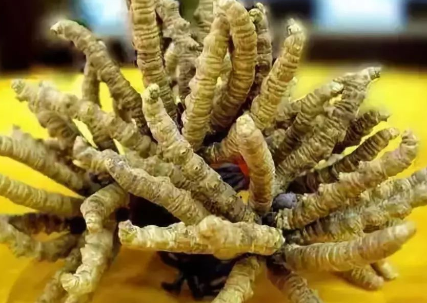 清溪礼品回收商家