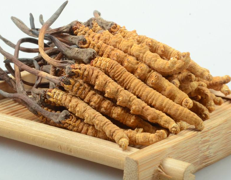 黄埔虫草回收市场价格