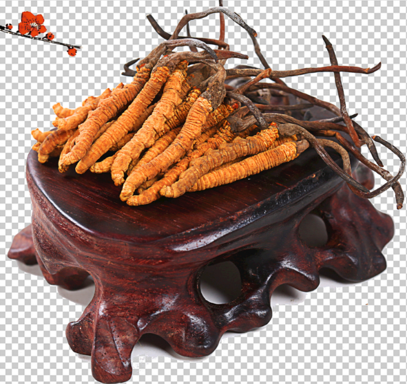 萝岗虫草回收多少钱