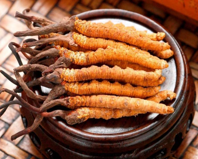 海珠虫草回收多少钱一斤