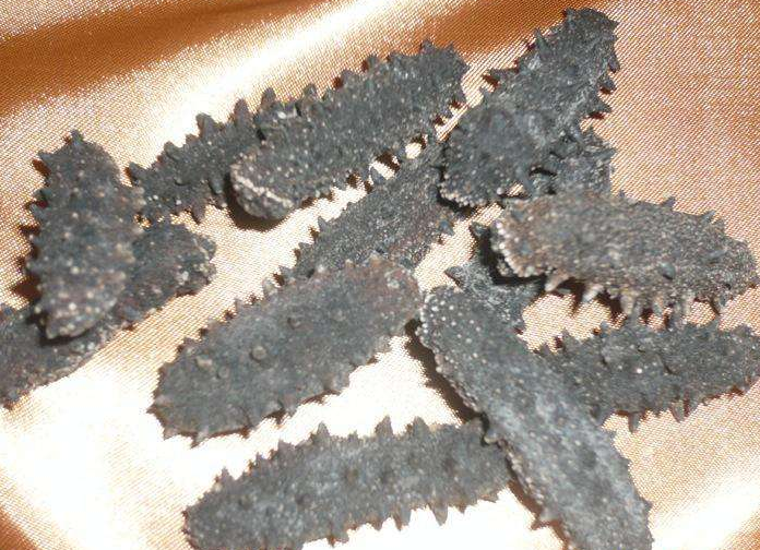 有商家在洪梅上门礼品回收吗