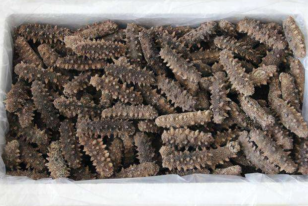 光明高价礼品回收