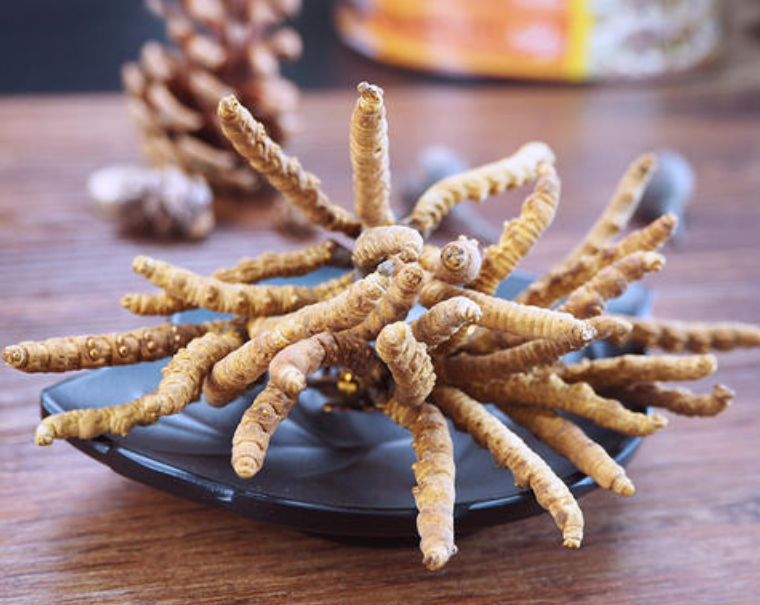 增城虫草回收多少钱