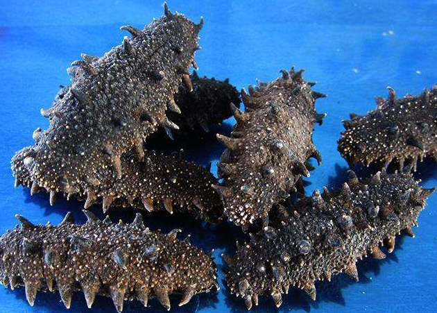 光明礼品回收实体店位置