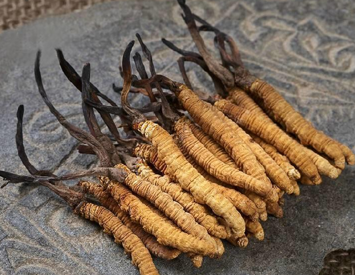 海珠虫草回收价格