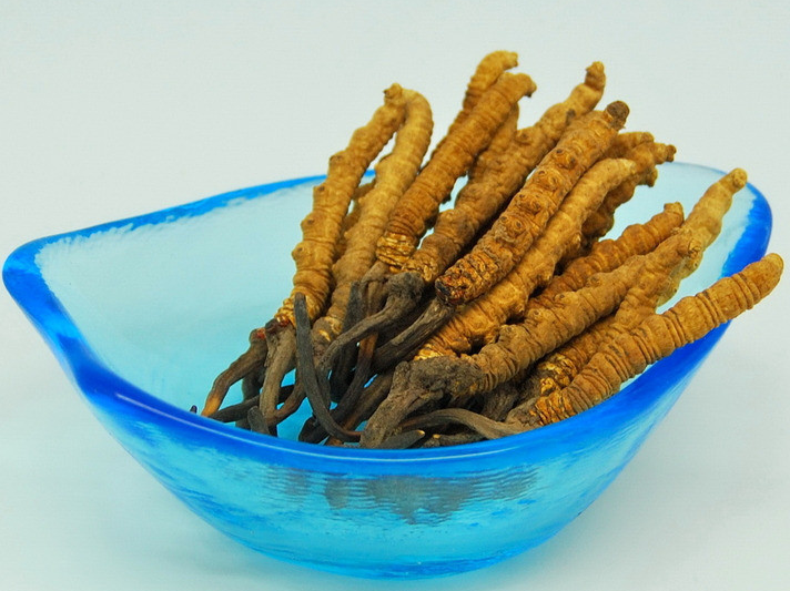 广州虫草回收价格多少