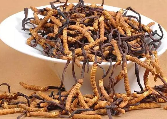 荔湾虫草回收商家