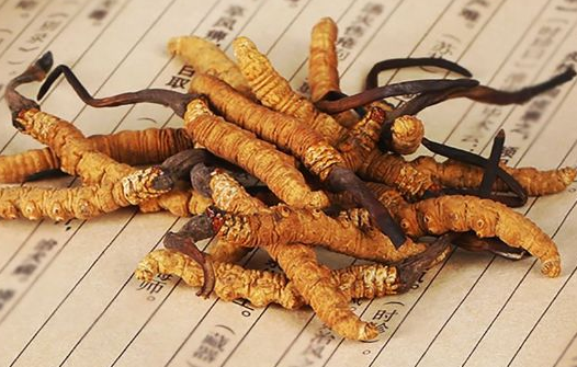 广州虫草回收多少钱