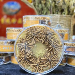 盐田礼品回收价格