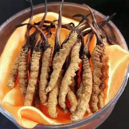 道滘大量礼品回收商行